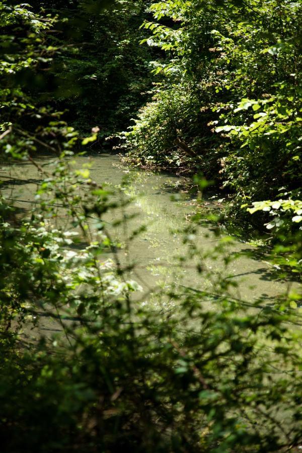 Le Domaine Du Cerf - Gites, Nature Et Spa Saint-Ouen-les-Vignes Exteriér fotografie